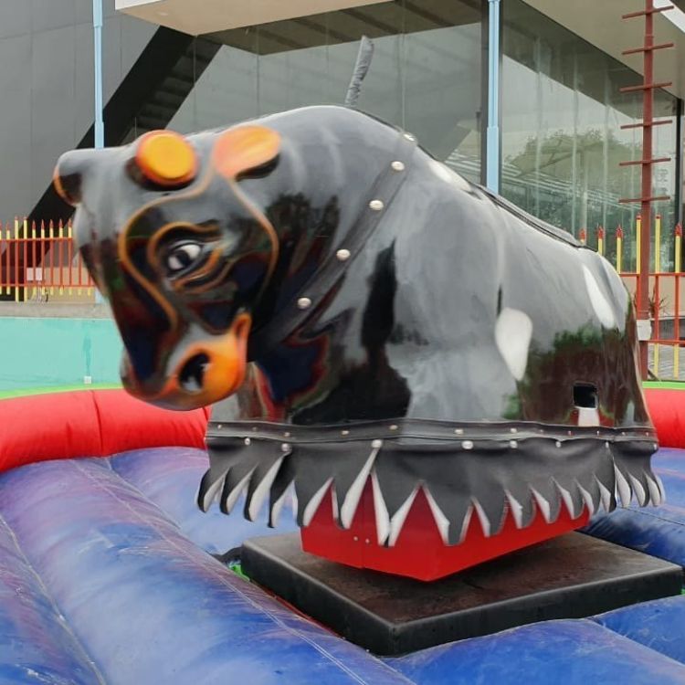 Mechanical Bull Ride Manufacturer in Delhi